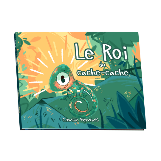Livre - roi cache cache